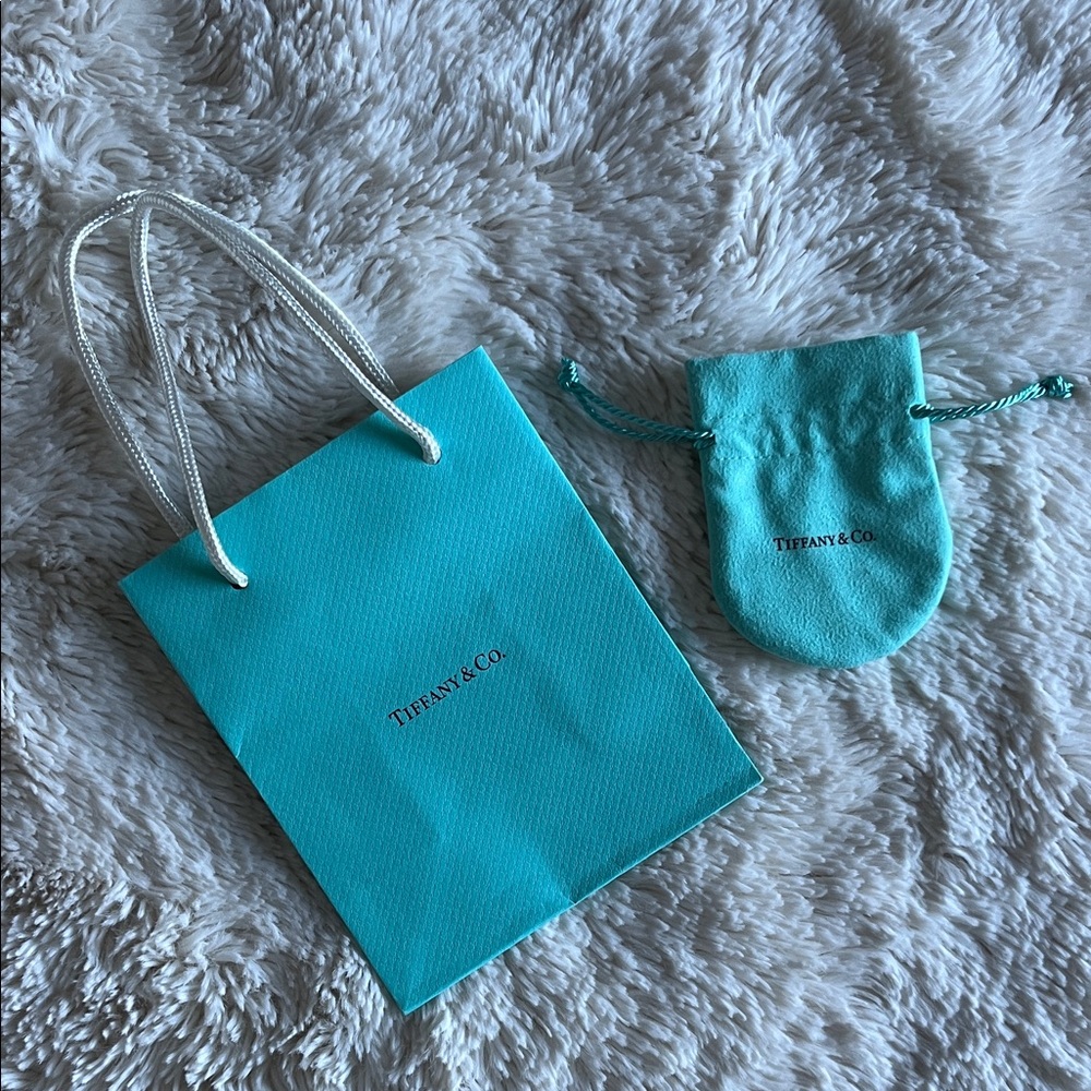 Authentic Tiffany & Co. Turquoise Shopping Bag and Pouch Set